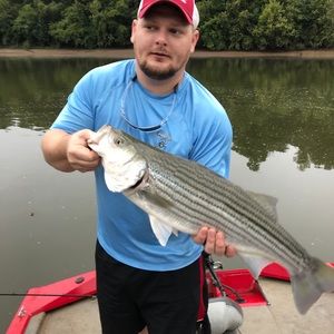 Meet your Posher, Chris